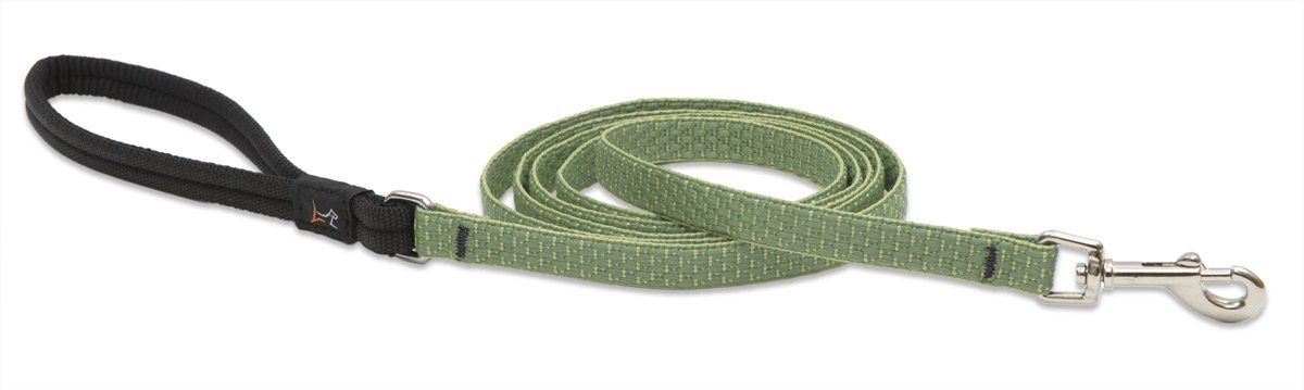 1/2&quot; Moss 4&#39; Leash