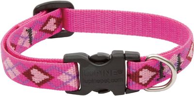Dog Collars