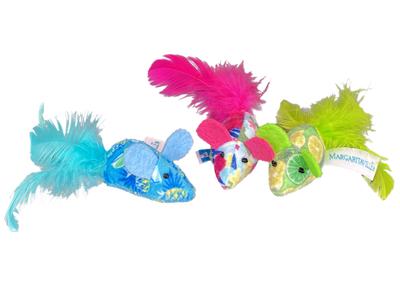 Cat Toys