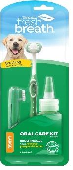 Fresh Breath Oral Kit-Large