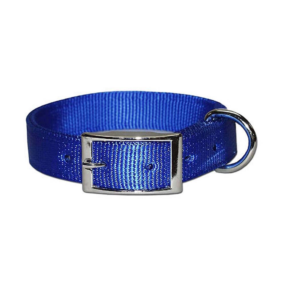 2&quot; Double Ply Bravo Nyl Clr Blu, Size: 21&quot;