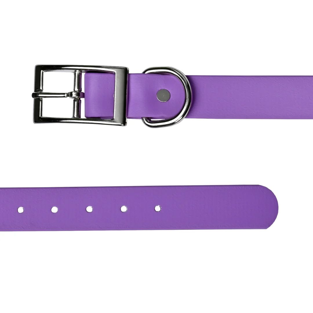 Tailr 1" Amythyst  Biothane Collar 24"