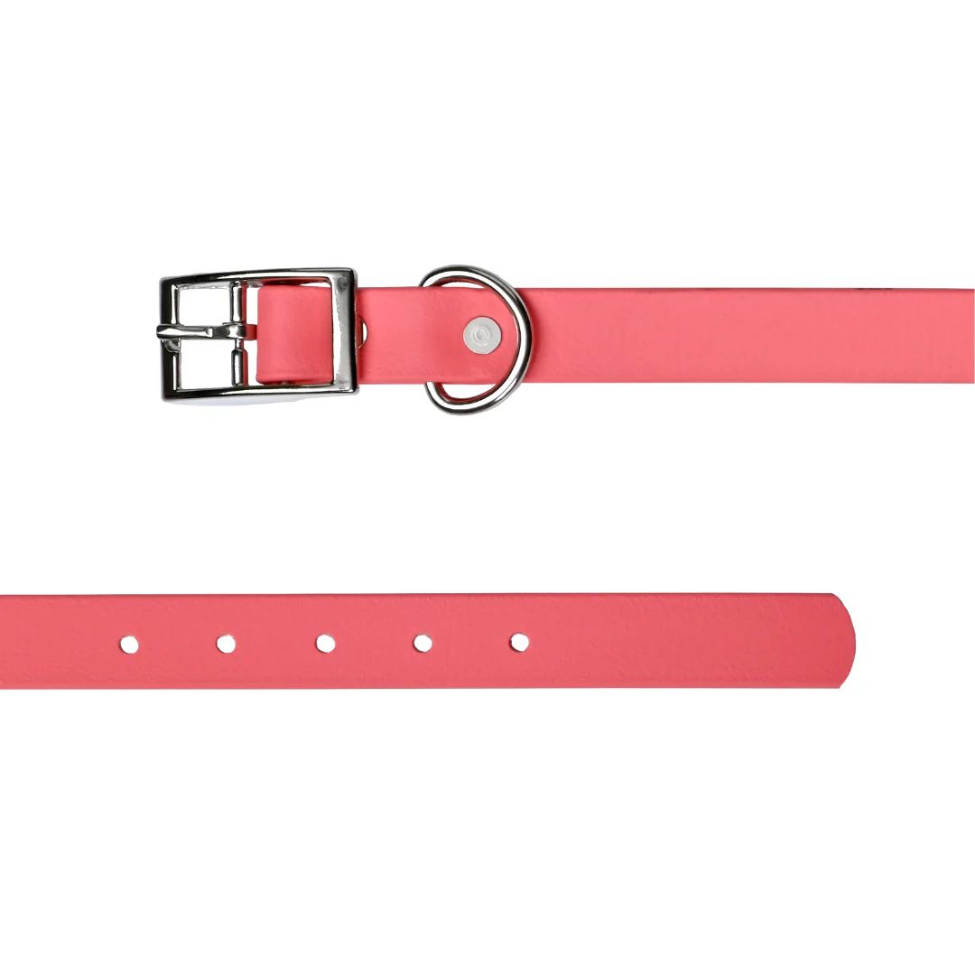 Tailr 1" Coral  Biothane Collar 24"