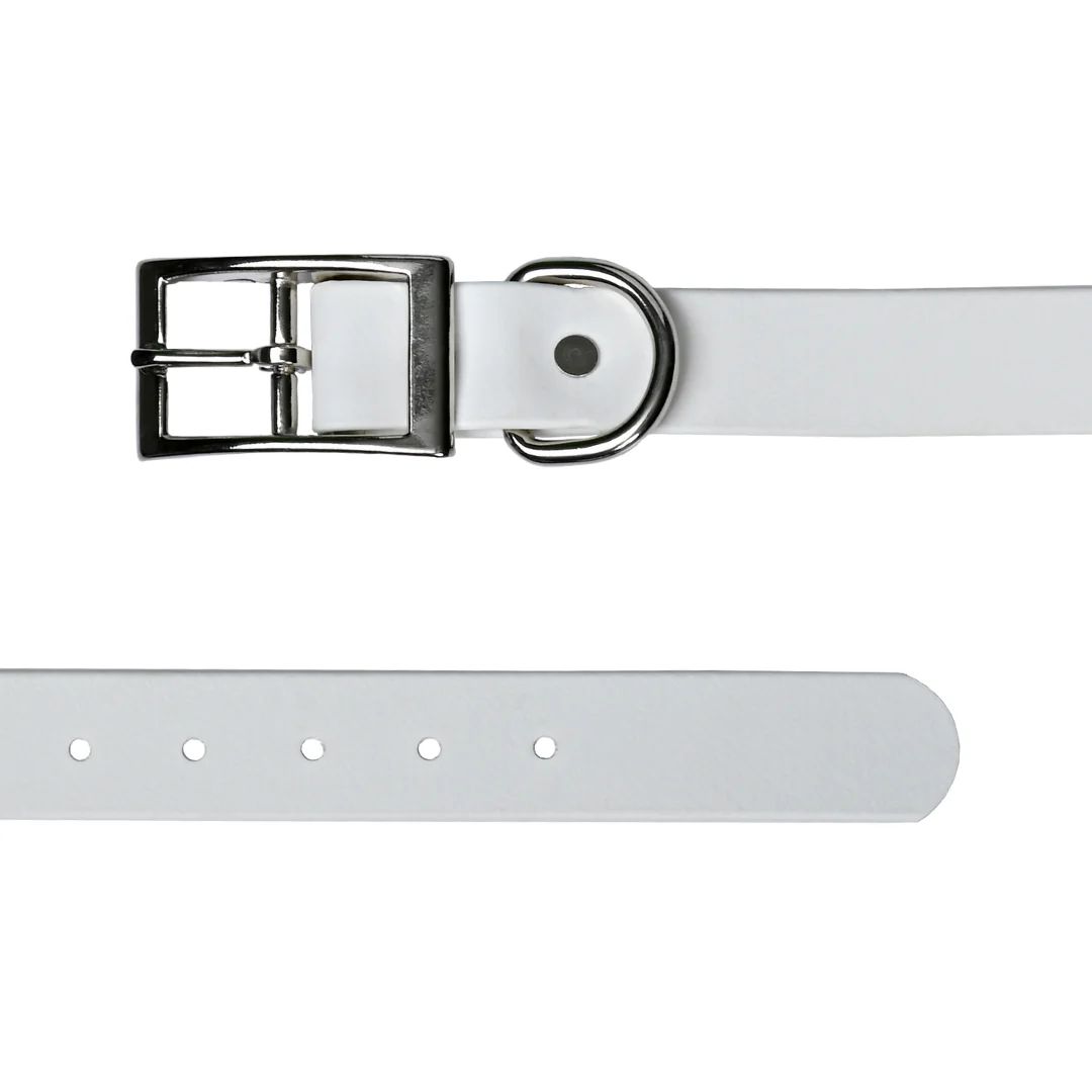 Tailr 1" White  Biothane Collar 24"