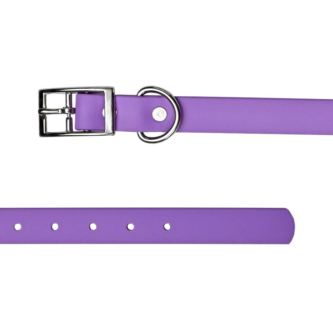 Tailr 1/2" Amythyst  Biothane Collar 16"