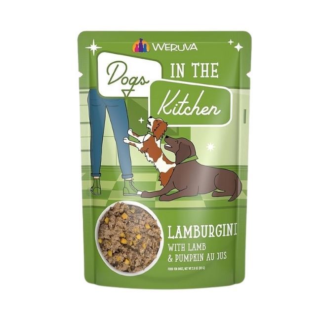 Dog in the Kitchen Lamburgini