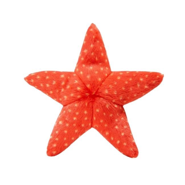Ziggy Starfish