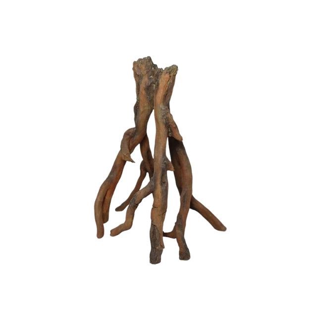 Aquael Mangrove Root S 6-9"