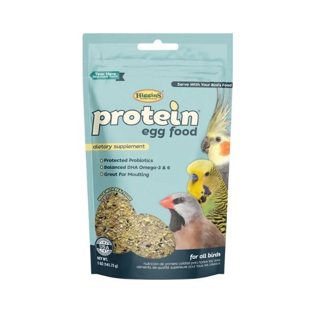 Protein Egg Food