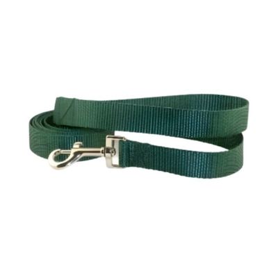 1" 6' double ply Nylon Lead