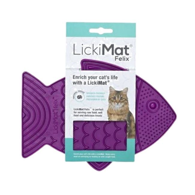 Cat Likimat Felix Purple