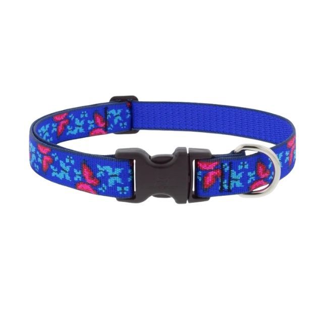 1" Social Butterfly Adj Collar-16-28"