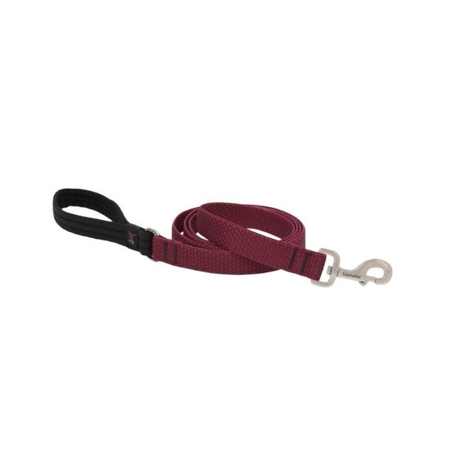 1" Berry Leash-6'