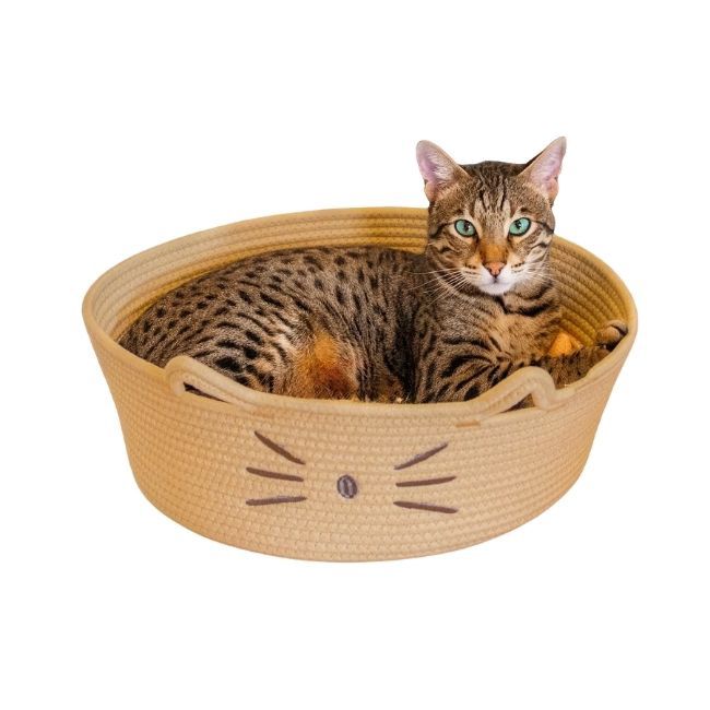 Bed &amp; Basket Retreat Tan