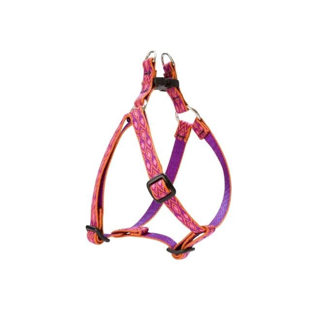 3/4" Alpen Glow Step in Harness 15-21"