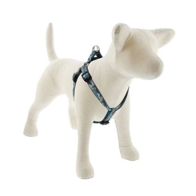 3/4" Sand Shark Step in Harness 15-21"