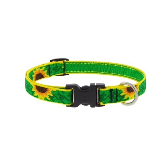 3/4" Sunflowers Collar 13-22"