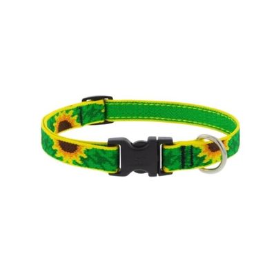 3/4" Sunflowers Collar 13-22"