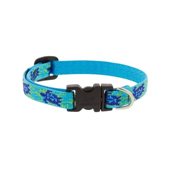 3/4" Turtle Reef Collar 13-22"