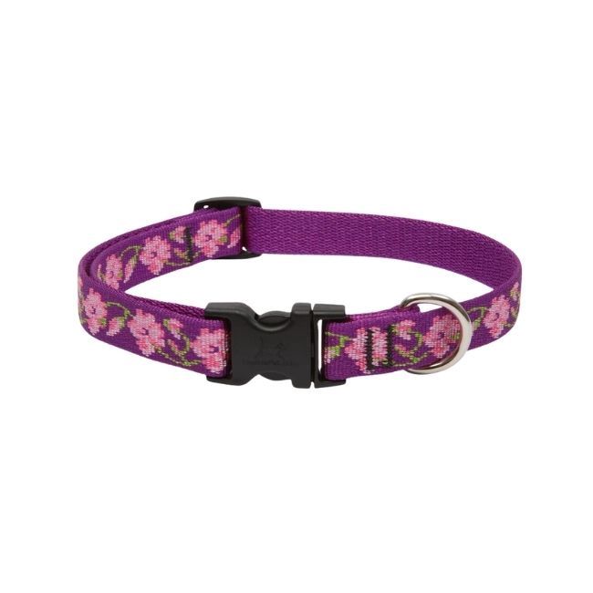 3/4" Rose Garden Collar 13-22"