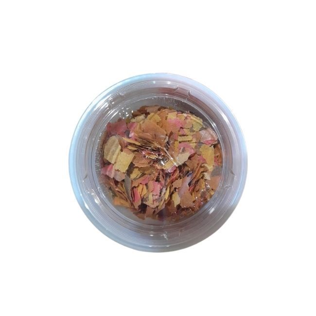 Tetramin Plus Fish Flakes 4 oz Cup VG