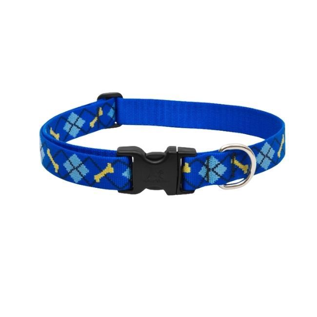 3/4" Daper Dog Collar 13-22"