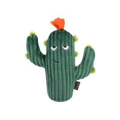 Prickly Pup Cactus