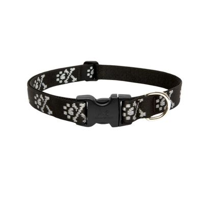 Dog Collars