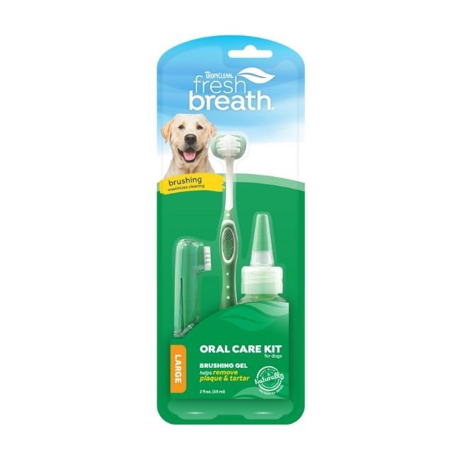 Fresh Breath Oral Kit-Large