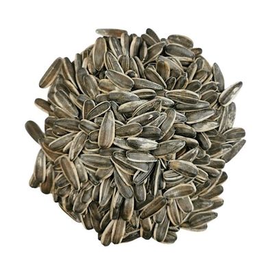 Bulk Sunflower Seeds FS-2 lbs