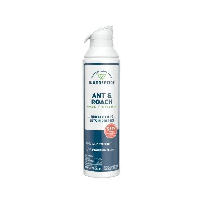 H &amp; K Ant &amp; Roach Spray-10 oz