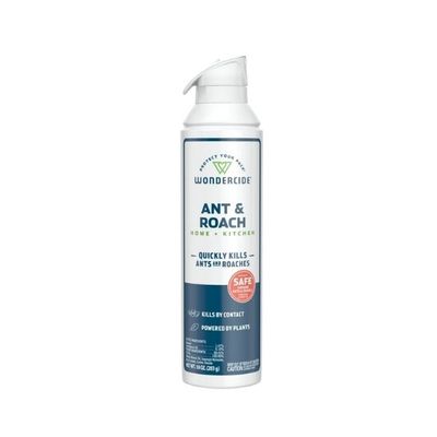 H &amp; K Ant &amp; Roach Spray-10 oz