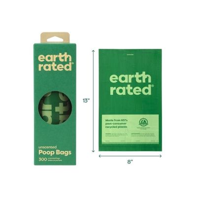 Standard Bag Unscented-300 counts