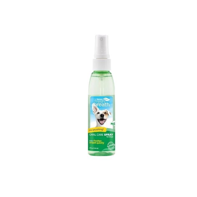 Fresh Breath No Brushing Oral Care Spray
