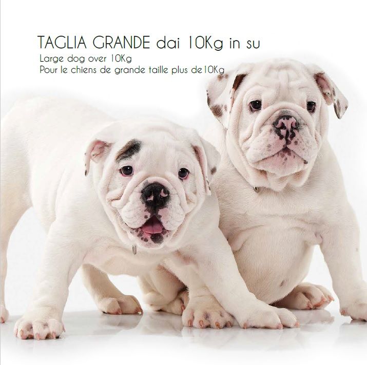 Imperialfood Puppy Plus 3kg