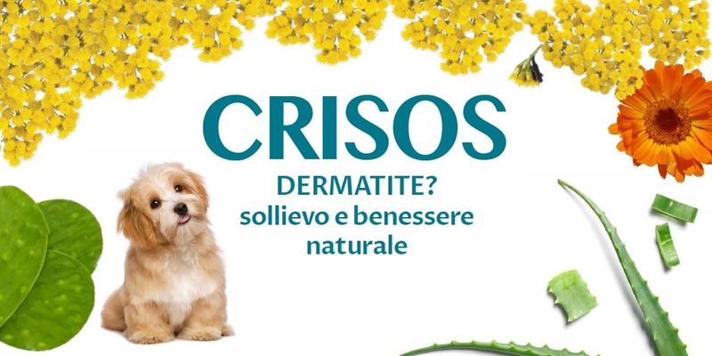 Officinalis CRISOS  98%  500ml
