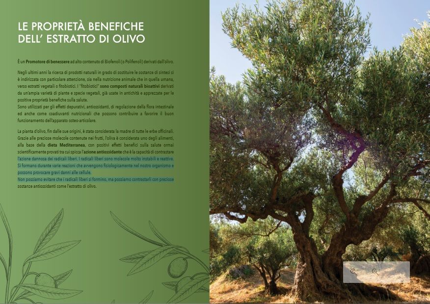 Triplo Pet Tonno&Riso 12kg