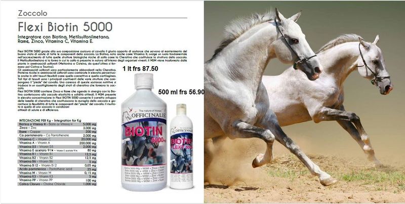 Officinalis  BIOTIN 5000  1 lt