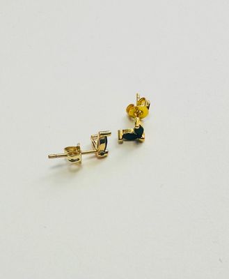 Delicate Charm studs