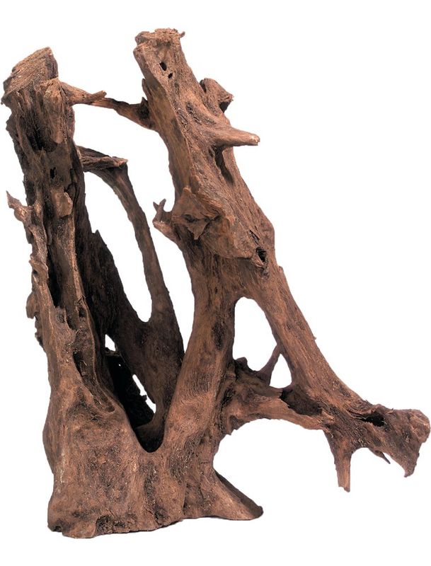 mangroven hout
