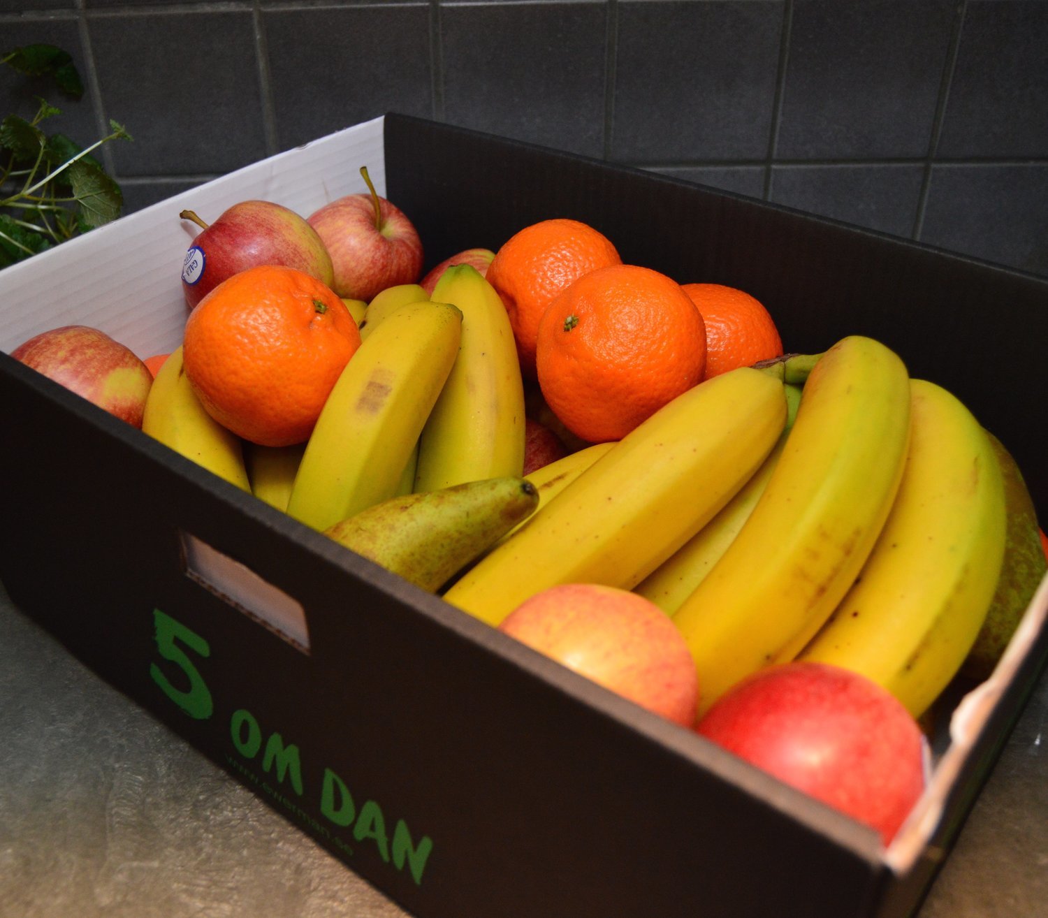 Fruktbox 6 kg