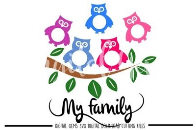 Owl family design
