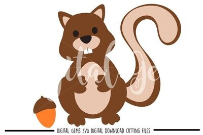 Squirrel design