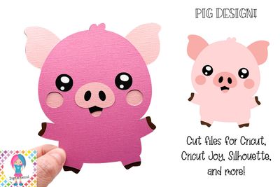 Pig Design