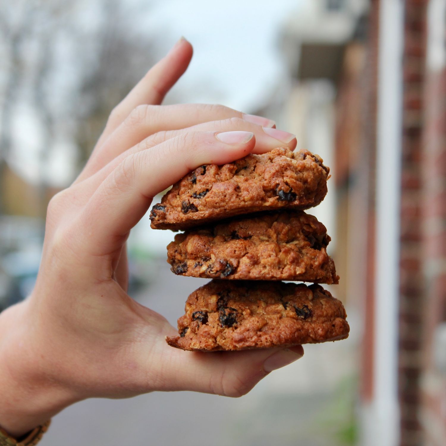 Oatmeal Cookie
