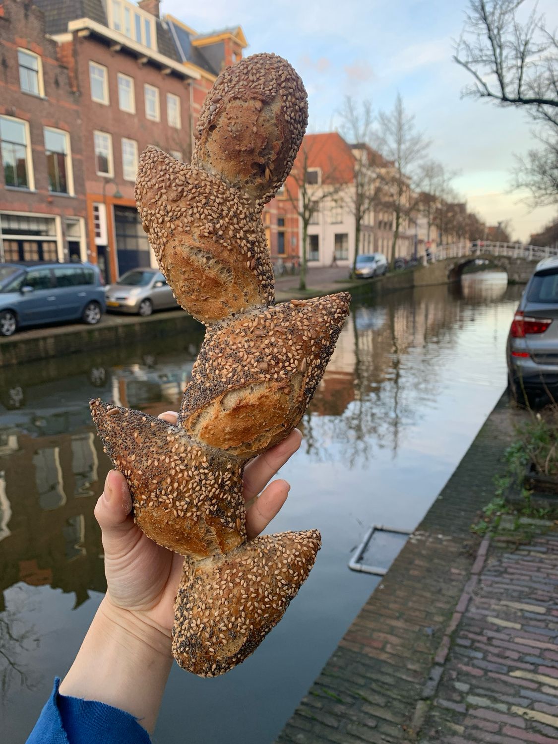 Baguette epi (breekbrood baguette)
