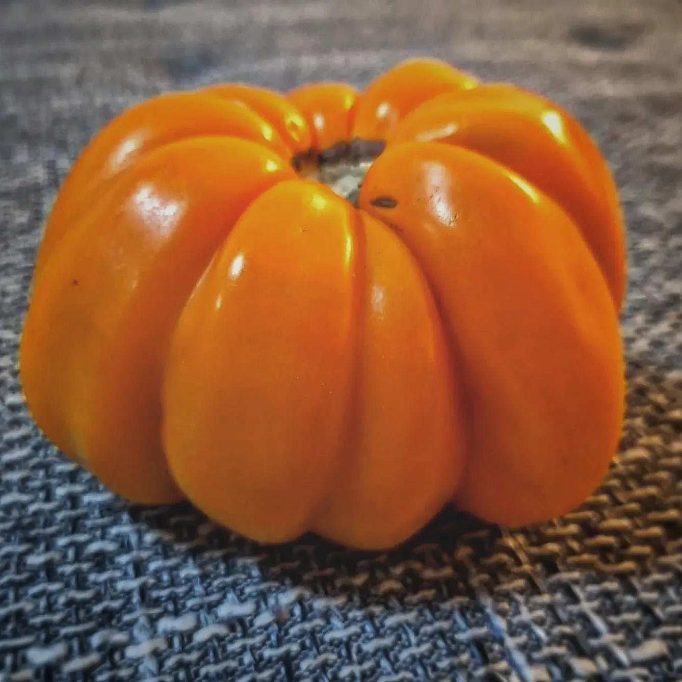 Pitanga Orange