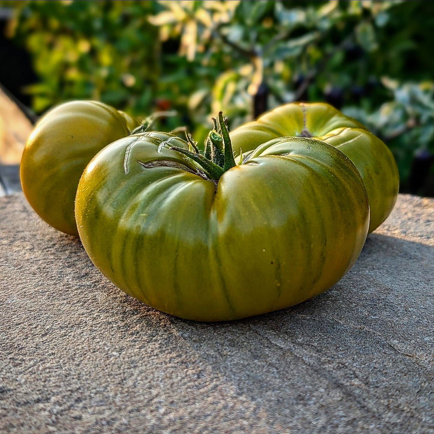 Garden Lime