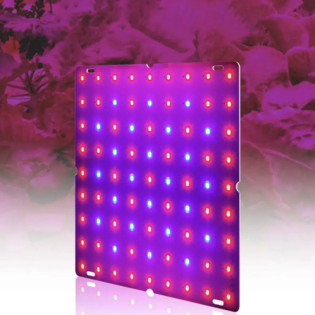Pflanzen Growlight