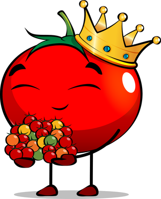 Cocktailtomaten